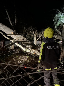 Katasztrófavédelem