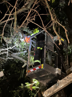 Katasztrófavédelem