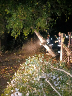 Katasztrófavédelem