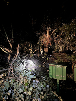 Katasztrófavédelem