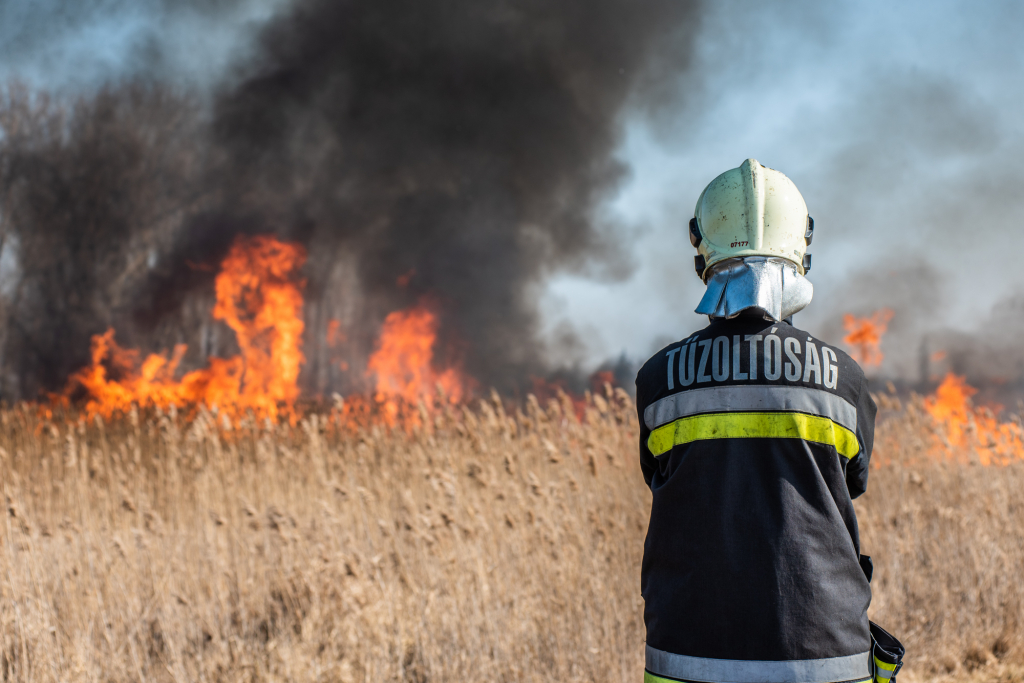 tűzgyújtási tilalom