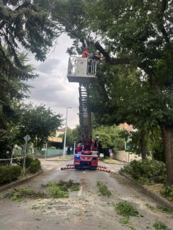 Katasztrófavédelem
