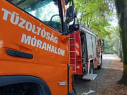 Katasztrófavédelem