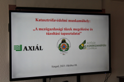 Katasztrófavédelem