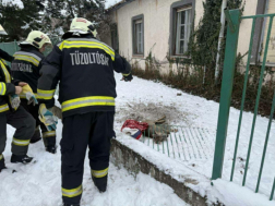 Őzmentés Szentesen