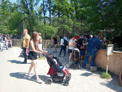 Családi nap a vadasparkban