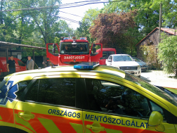 Családi nap a vadasparkban
