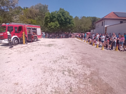 Családi nap a vadasparkban