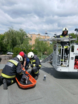 Gyermeknap Makón